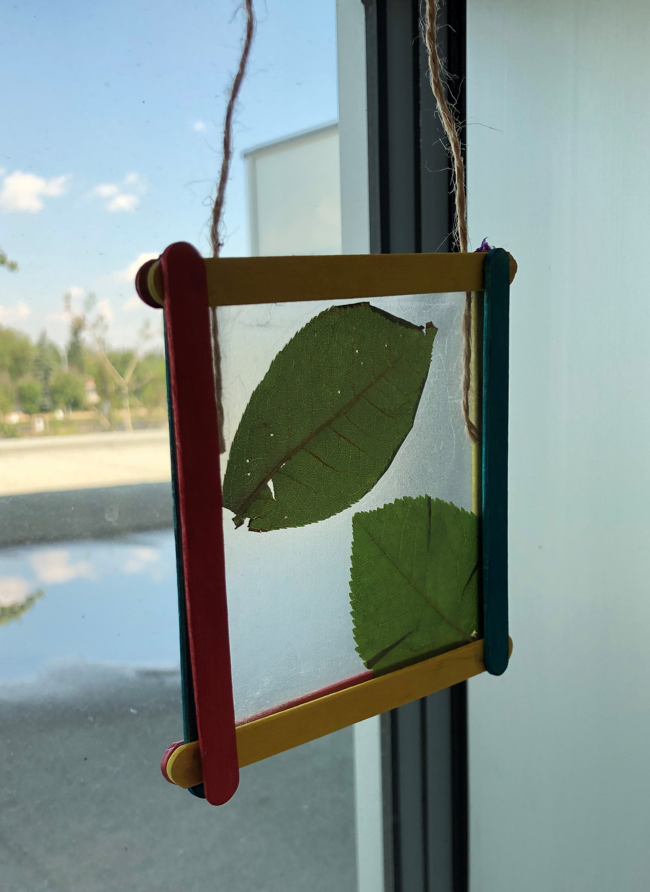 Colourful popsicle sticks and leaves in a square shape hanging by a window